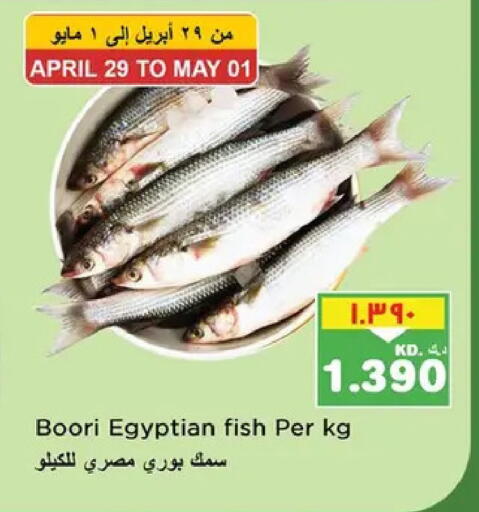 available at نستو هايبر ماركت in الكويت