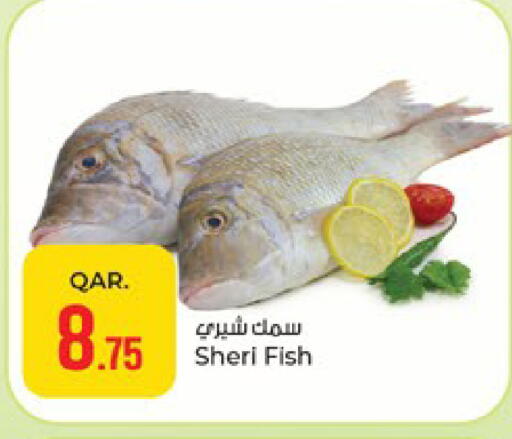 available at باريس هايبرماركت in قطر - الوكرة