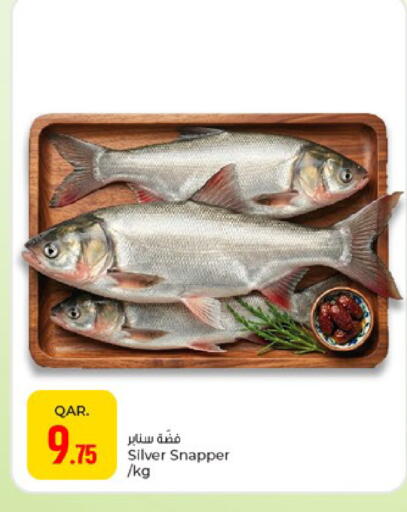 available at باريس هايبرماركت in قطر - الوكرة