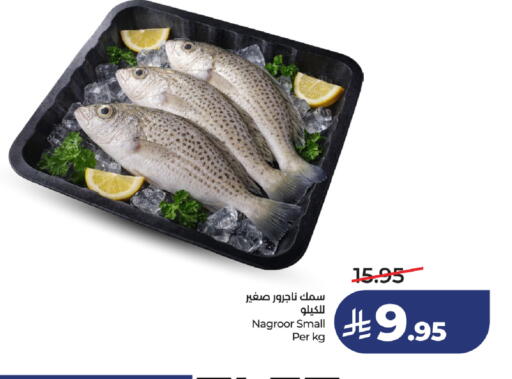 available at لولو هايبرماركت in مملكة العربية السعودية, السعودية, سعودية - خميس مشيط