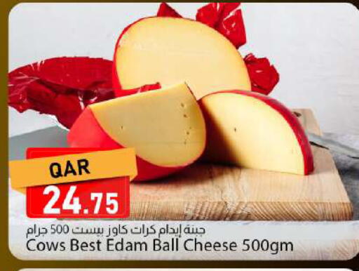 available at دانا ماركت in قطر - الشمال