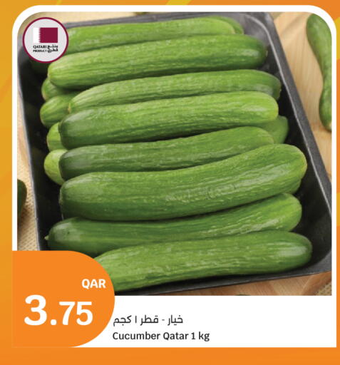 Cucumber from Qatar available at City Hypermarket in Qatar - Al Shamal