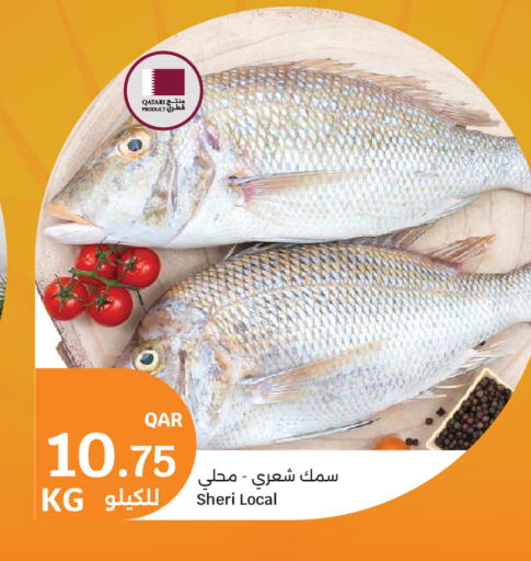 available at City Hypermarket in Qatar - Al-Shahaniya
