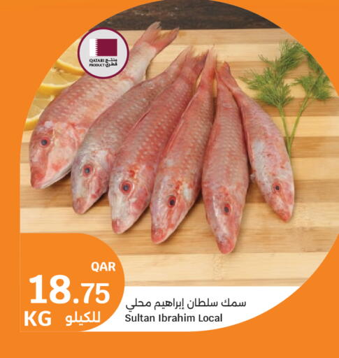 available at City Hypermarket in Qatar - Al-Shahaniya
