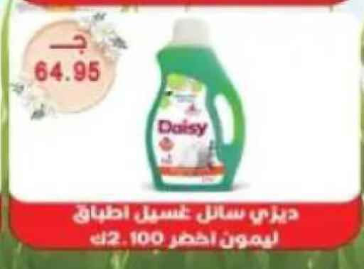 available at Sarhan Market in Egypt - Cairo