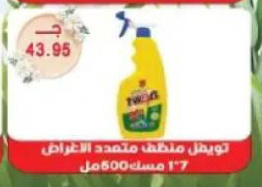 available at Sarhan Market in Egypt - Cairo