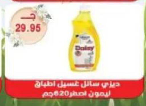 available at Sarhan Market in Egypt - Cairo