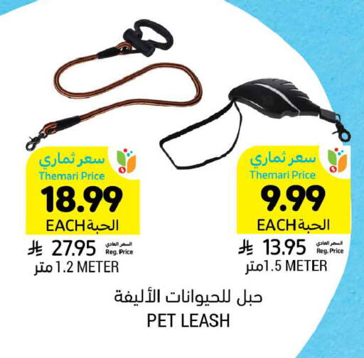 available at Tamimi Market in KSA, Saudi Arabia, Saudi - Tabuk