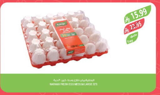 available at Farm  in KSA, Saudi Arabia, Saudi - Jeddah