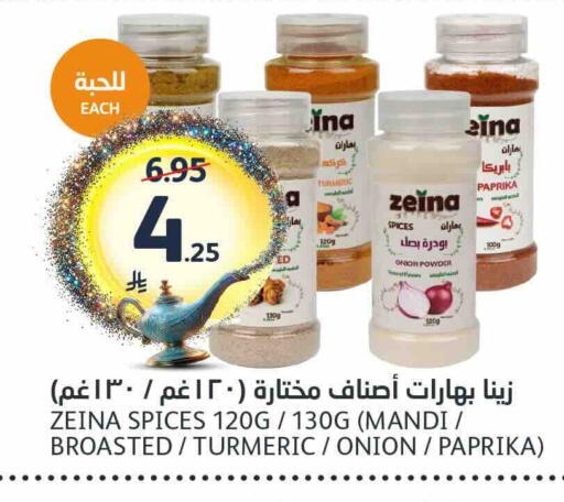 Onion Turmeric Paprika available at AlJazera Shopping Center in KSA, Saudi Arabia, Saudi - Riyadh