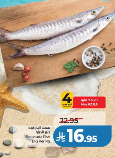 available at لولو هايبرماركت in مملكة العربية السعودية, السعودية, سعودية - تبوك