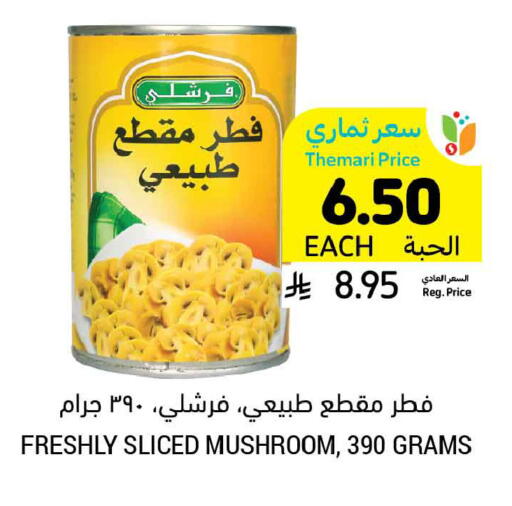 Mushroom available at Tamimi Market in KSA, Saudi Arabia, Saudi - Tabuk