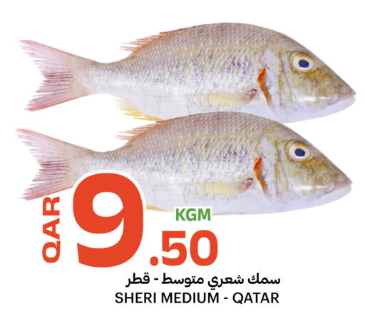 available at Al Baladi Al Yawm in Qatar - Al Shamal