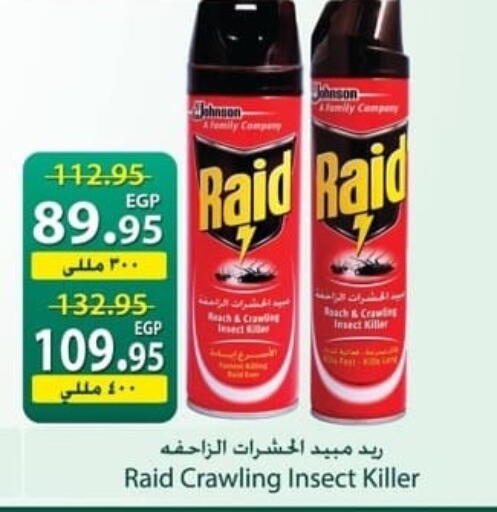 available at سبينس in Egypt - القاهرة