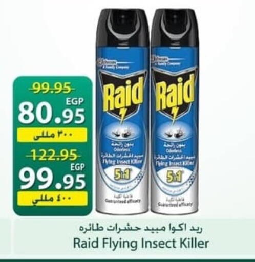 available at سبينس in Egypt - القاهرة
