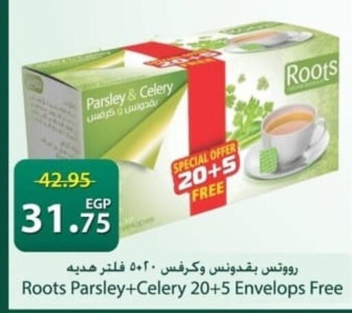Parsley Celery available at سبينس in Egypt - القاهرة
