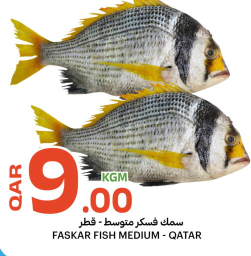 available at Al Baladi Al Yawm in Qatar - Al Shamal
