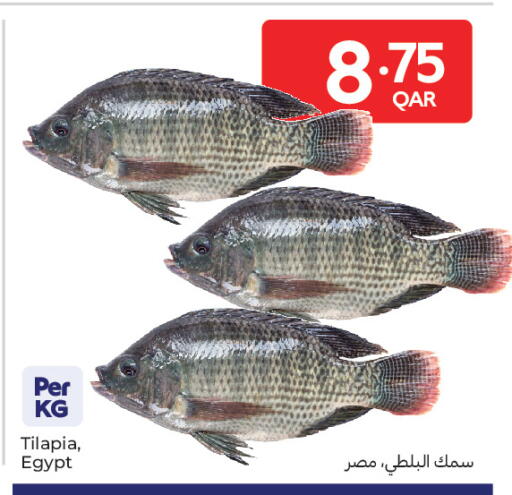 available at كارفور in قطر - الخور
