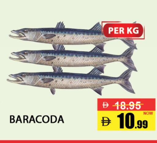 available at Best Coop Discounts Hypermarket in UAE - Dubai