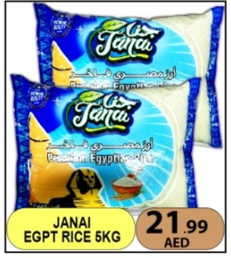 available at متجر الهدايا الخضراء in الإمارات العربية المتحدة , الامارات - أبو ظبي