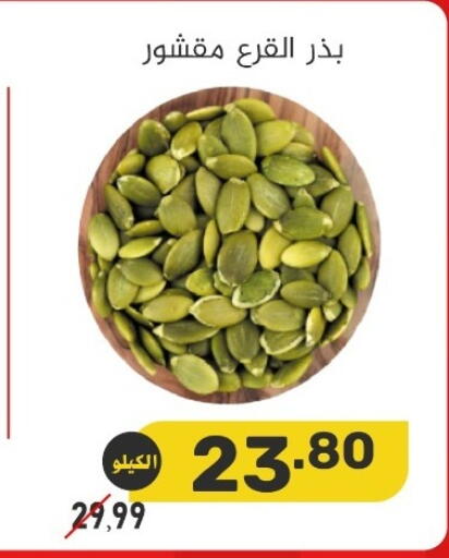 available at بن عفيف in مملكة العربية السعودية, السعودية, سعودية - المنطقة الشرقية