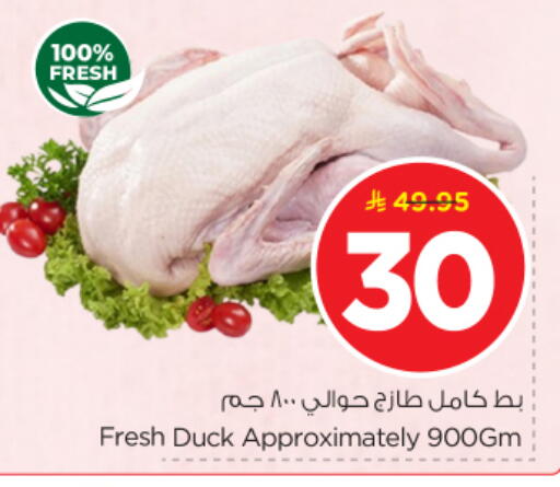 available at Nesto in KSA, Saudi Arabia, Saudi - Buraidah