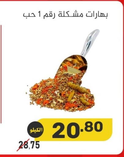available at بن عفيف in مملكة العربية السعودية, السعودية, سعودية - المنطقة الشرقية