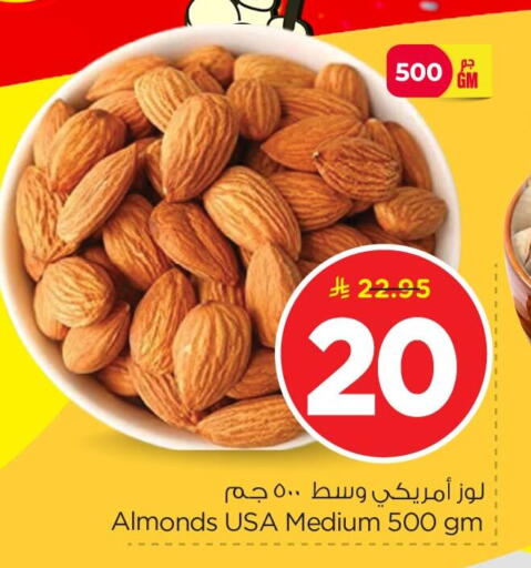 available at نستو in مملكة العربية السعودية, السعودية, سعودية - الأحساء‎