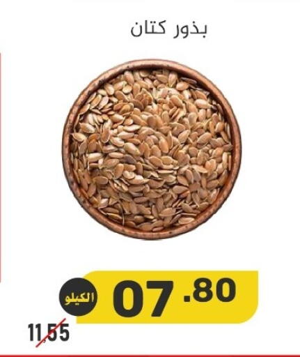 available at بن عفيف in مملكة العربية السعودية, السعودية, سعودية - المنطقة الشرقية