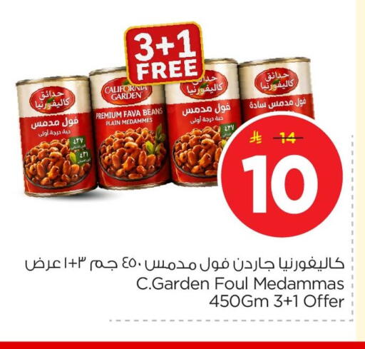 available at نستو in مملكة العربية السعودية, السعودية, سعودية - الأحساء‎