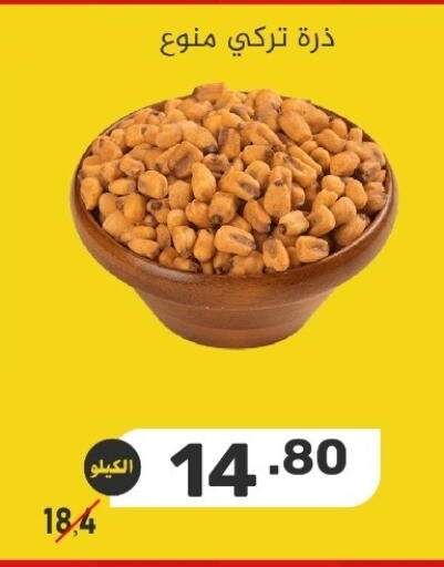 available at بن عفيف in مملكة العربية السعودية, السعودية, سعودية - المنطقة الشرقية