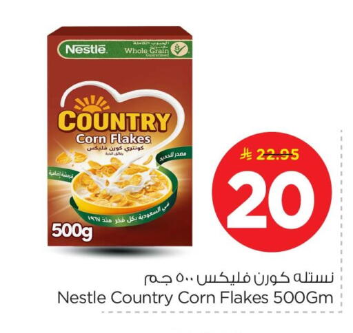 available at نستو in مملكة العربية السعودية, السعودية, سعودية - الأحساء‎