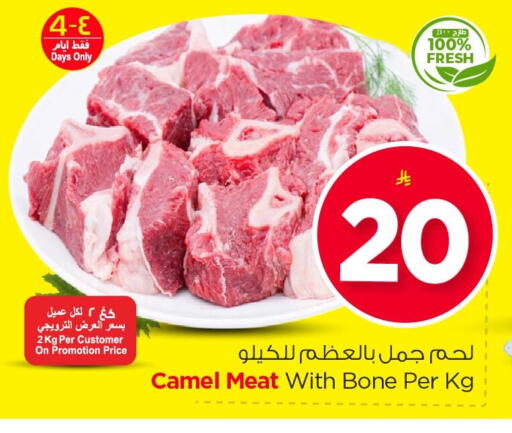 available at نستو in مملكة العربية السعودية, السعودية, سعودية - الأحساء‎