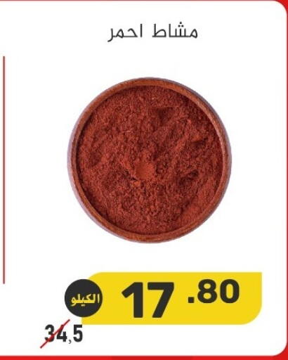 available at بن عفيف in مملكة العربية السعودية, السعودية, سعودية - المنطقة الشرقية