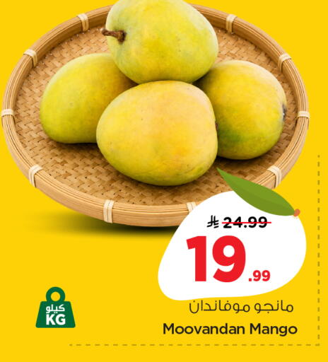 available at نستو in مملكة العربية السعودية, السعودية, سعودية - المنطقة الشرقية