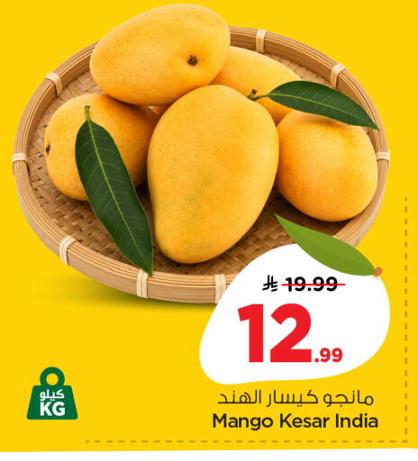 available at نستو in مملكة العربية السعودية, السعودية, سعودية - المنطقة الشرقية