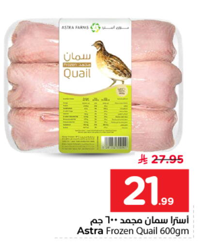 available at نستو in مملكة العربية السعودية, السعودية, سعودية - بريدة