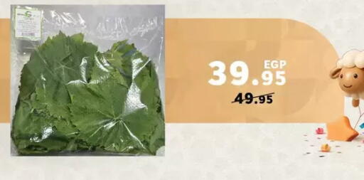 available at بنده in Egypt - القاهرة
