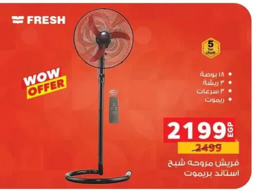 available at بنده in Egypt - القاهرة