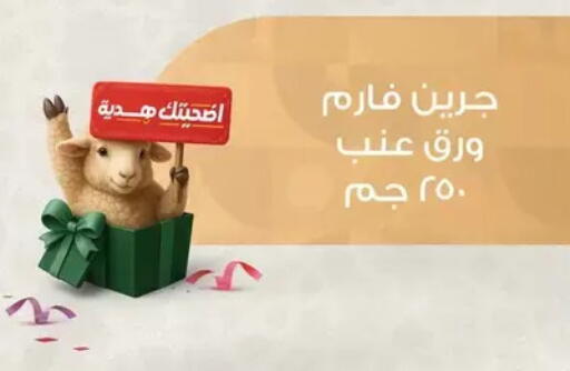 available at بنده in Egypt - القاهرة