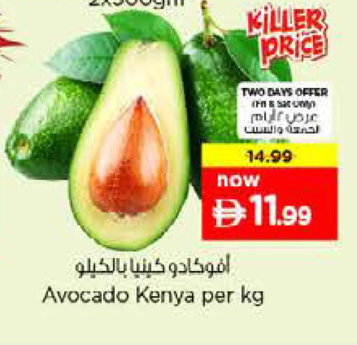 Avocado from Kenya available at نستو هايبرماركت in الإمارات العربية المتحدة , الامارات - دبي