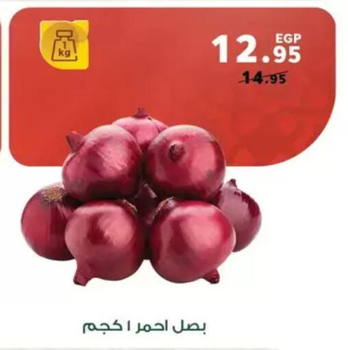 available at بنده in Egypt - القاهرة
