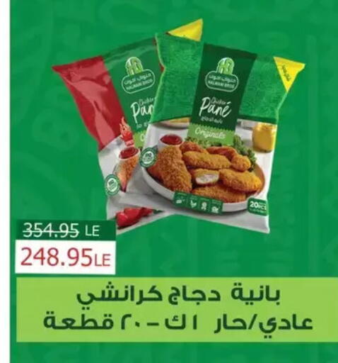 available at بنده in Egypt - القاهرة