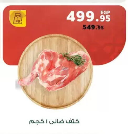 available at Panda  in Egypt - Cairo