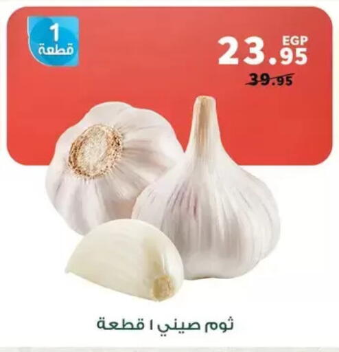 available at بنده in Egypt - القاهرة
