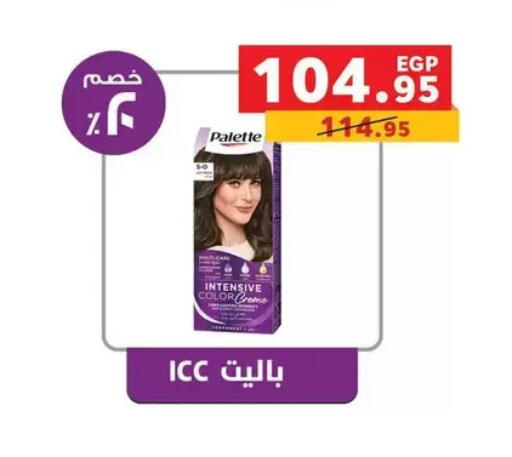 available at Panda  in Egypt - Cairo
