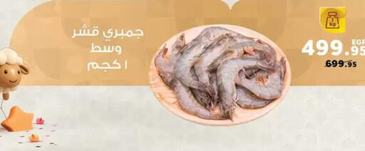 available at بنده in Egypt - القاهرة