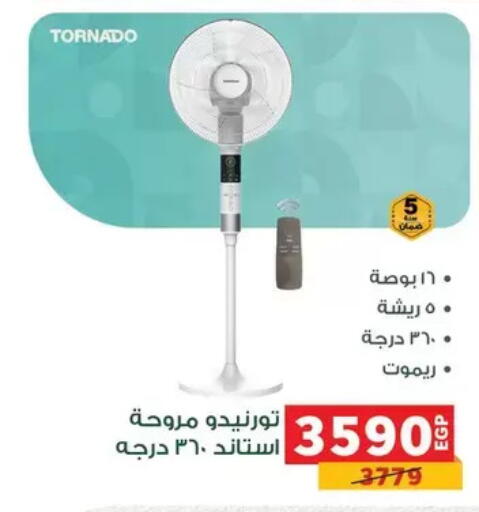 available at بنده in Egypt - القاهرة