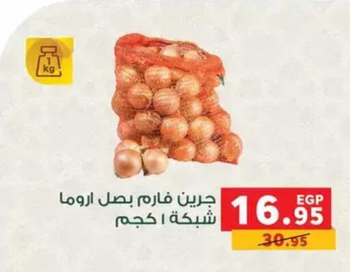 available at بنده in Egypt - القاهرة