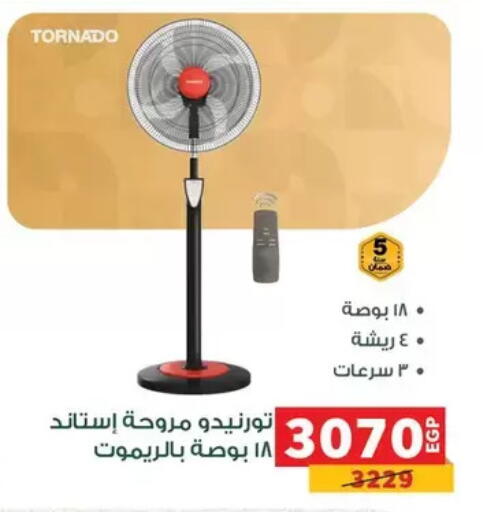 available at بنده in Egypt - القاهرة